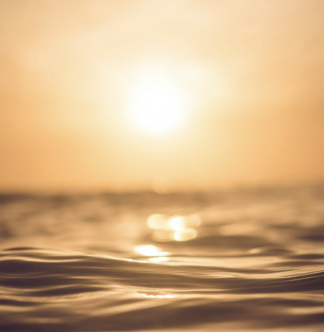 화면 캡처 2025-10-08 202237.png