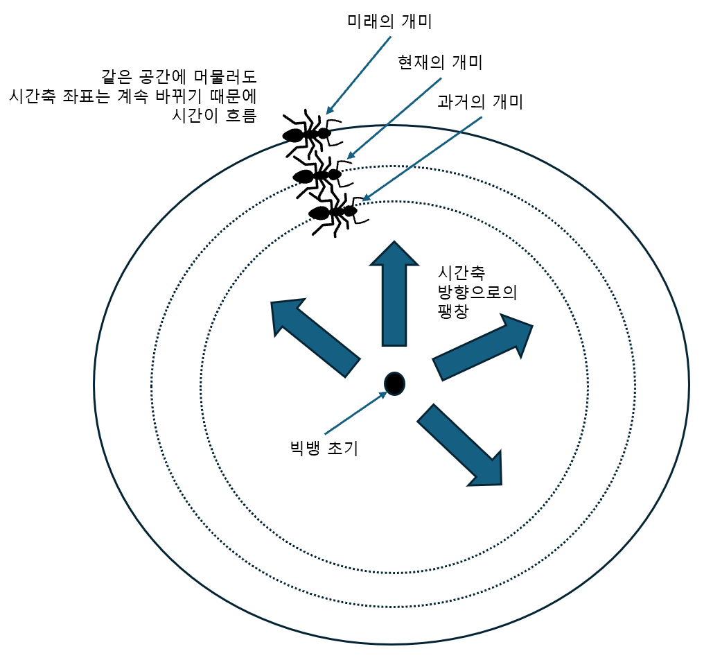 4차원팽창개미.png