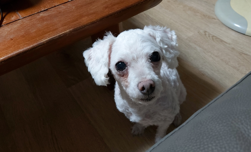 스크린샷 2023-11-01 212917.png