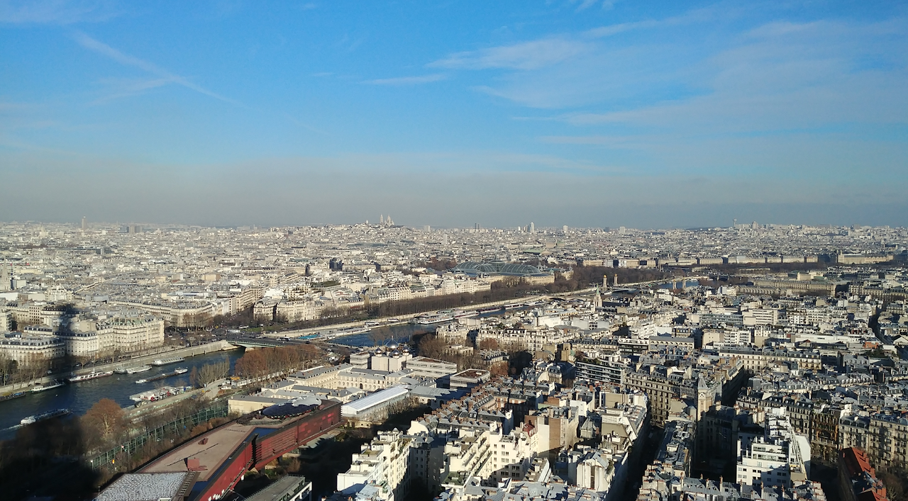 파리3.png