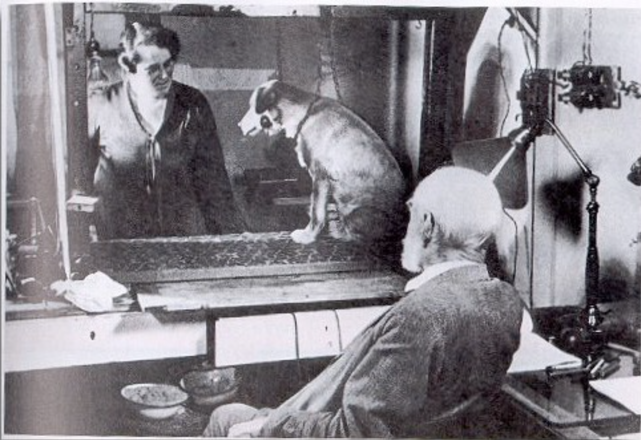 스크린샷 2016-09-18 23.31.05.png