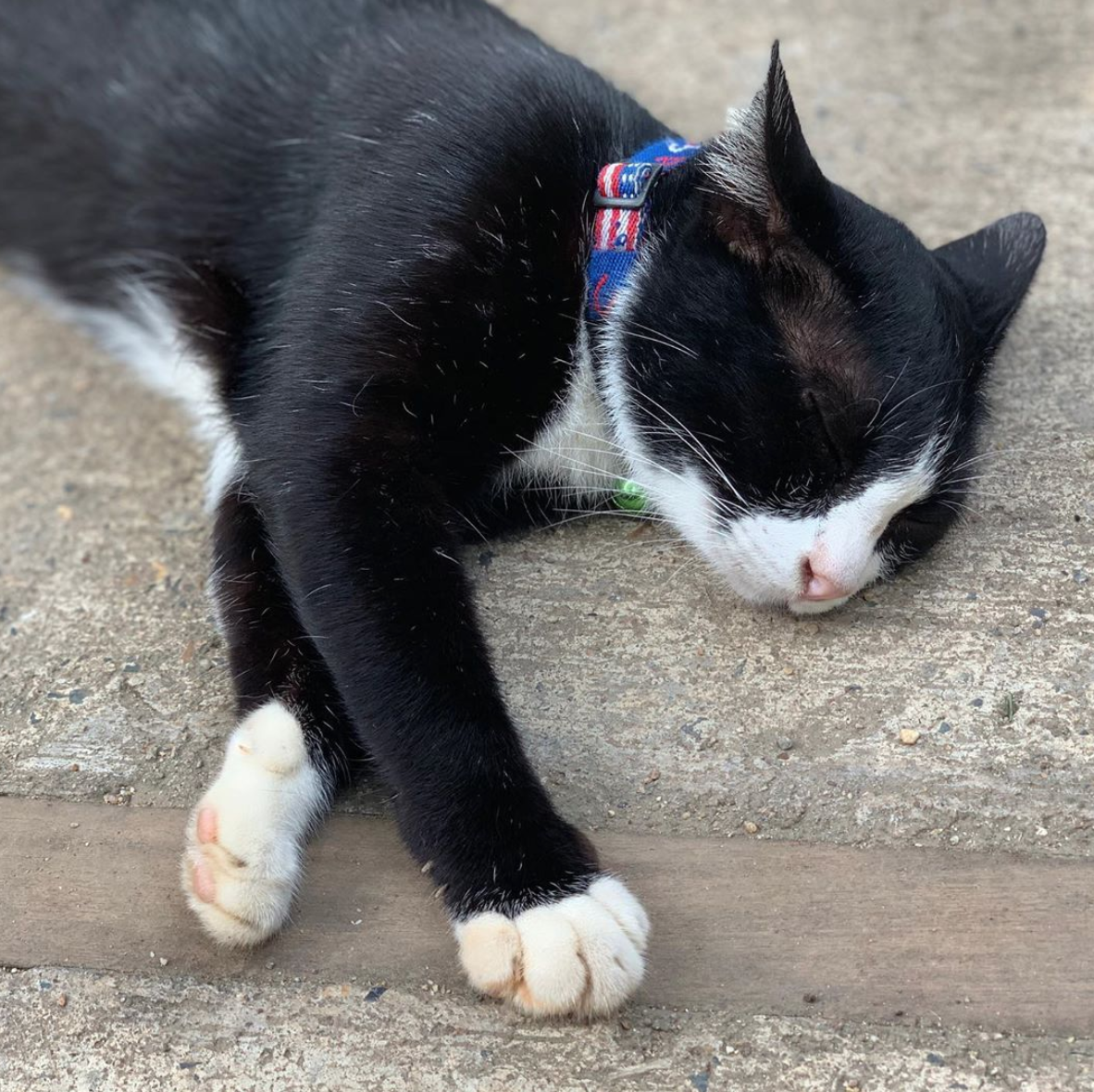 스크린샷 2019-08-31 오후 2.15.52.png