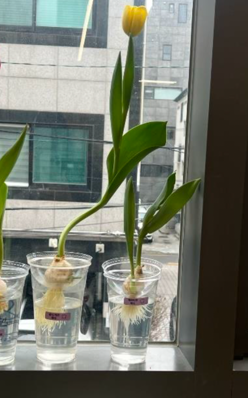 스크린샷 2025-04-02 오전 11.39.46.png