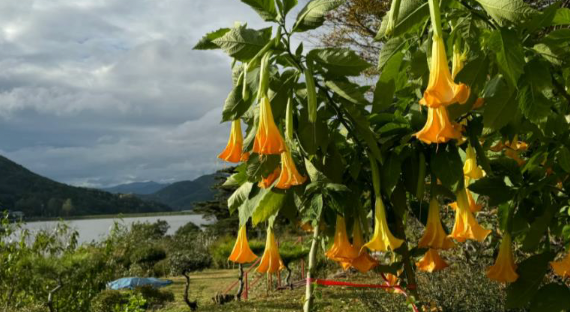 스크린샷 2025-04-04 오전 10.13.51.png