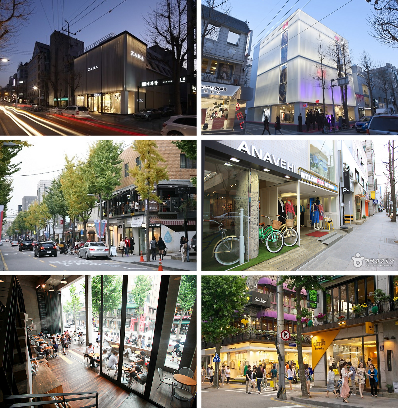 가로수 오늘.png