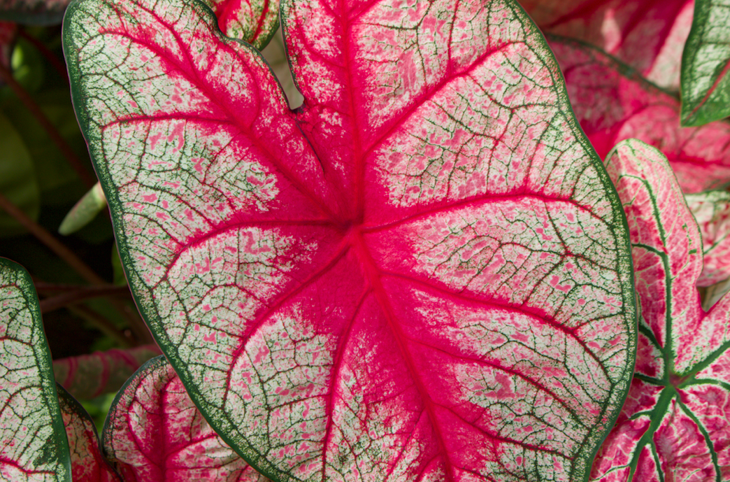 스크린샷 2022-09-09 오후 8.38.55.png