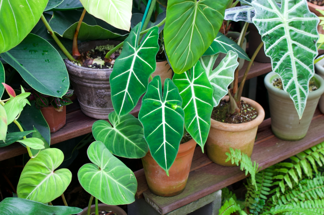 스크린샷 2022-09-09 오후 8.39.06.png