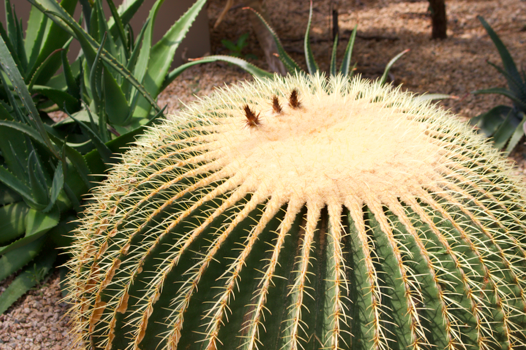 스크린샷 2022-09-09 오후 8.38.19.png