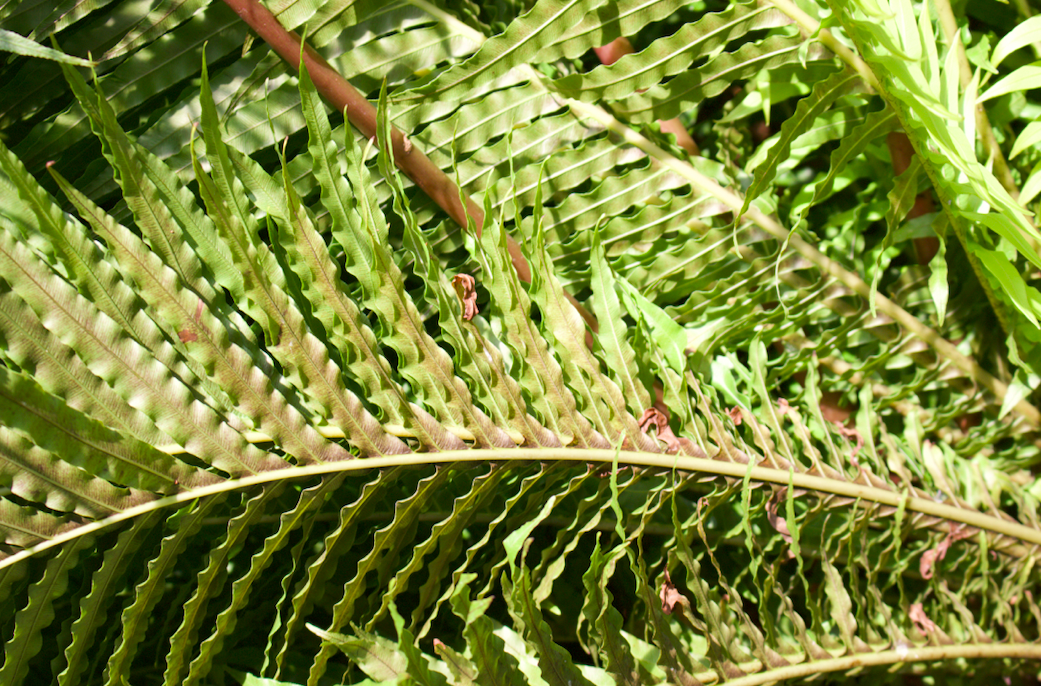 스크린샷 2022-09-09 오후 8.38.31.png