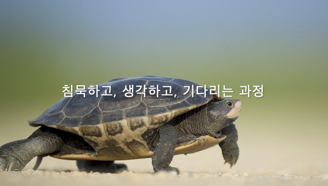 스크린샷 2019-08-09 오후 2.11.07.png