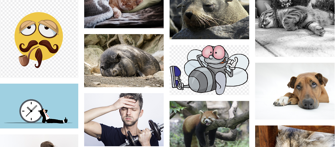 스크린샷 2024-05-11 140035.png