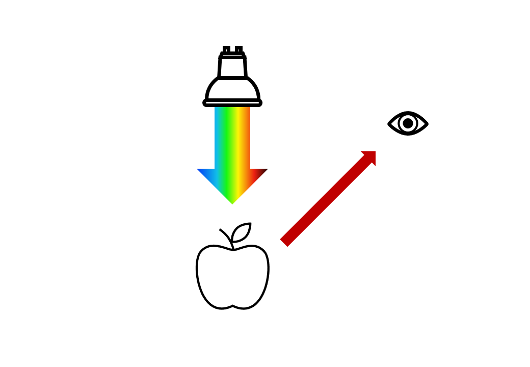 [조명] 사과를 비추는 할로겐 램프.png