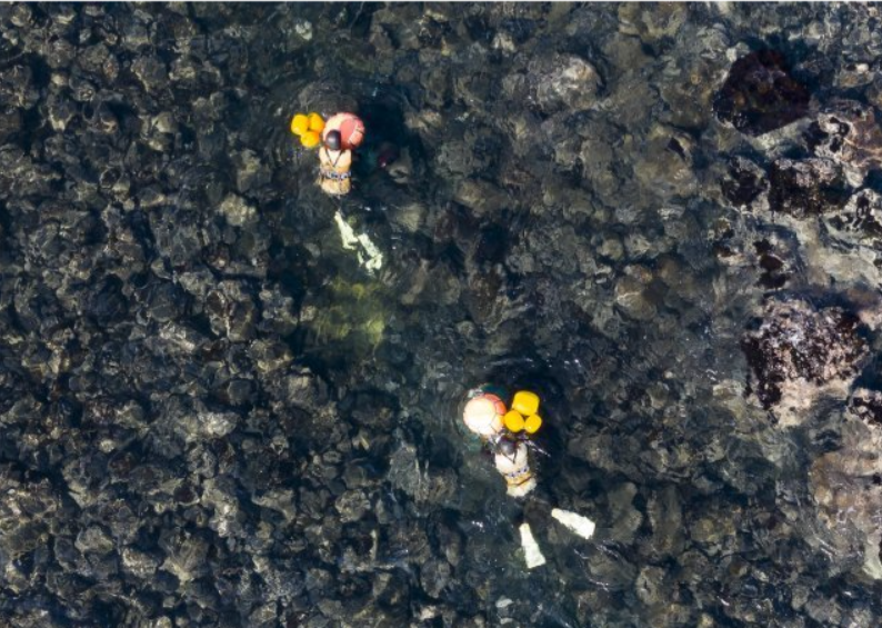 스크린샷 2025-02-10 160621.png