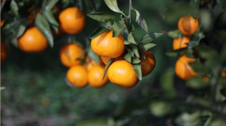 스크린샷 2024-06-20 104928.png