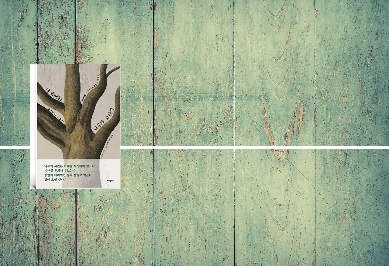 스크린샷 2024-05-25 123129.png