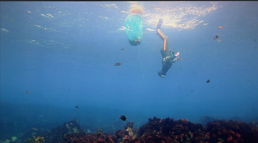 스크린샷 2025-02-10 160443.png