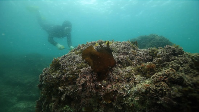 스크린샷 2025-02-10 161037.png