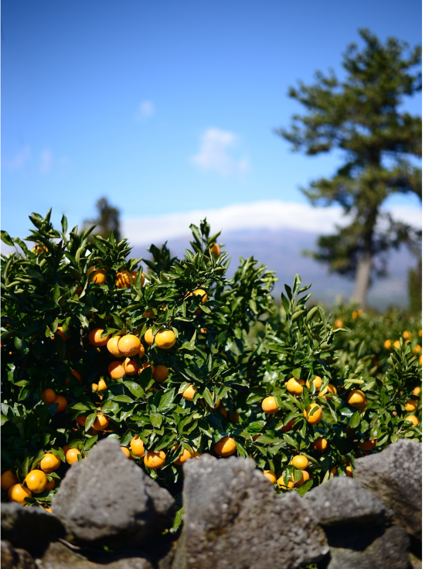 스크린샷 2023-12-30 165148.png