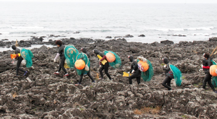 스크린샷 2025-02-10 160512.png