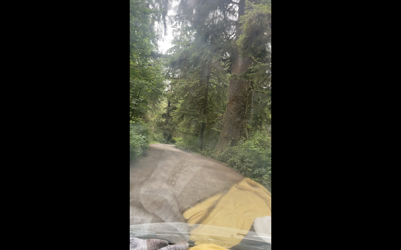 Screen Shot 2022-01-30 at 10.29.00 AM.png