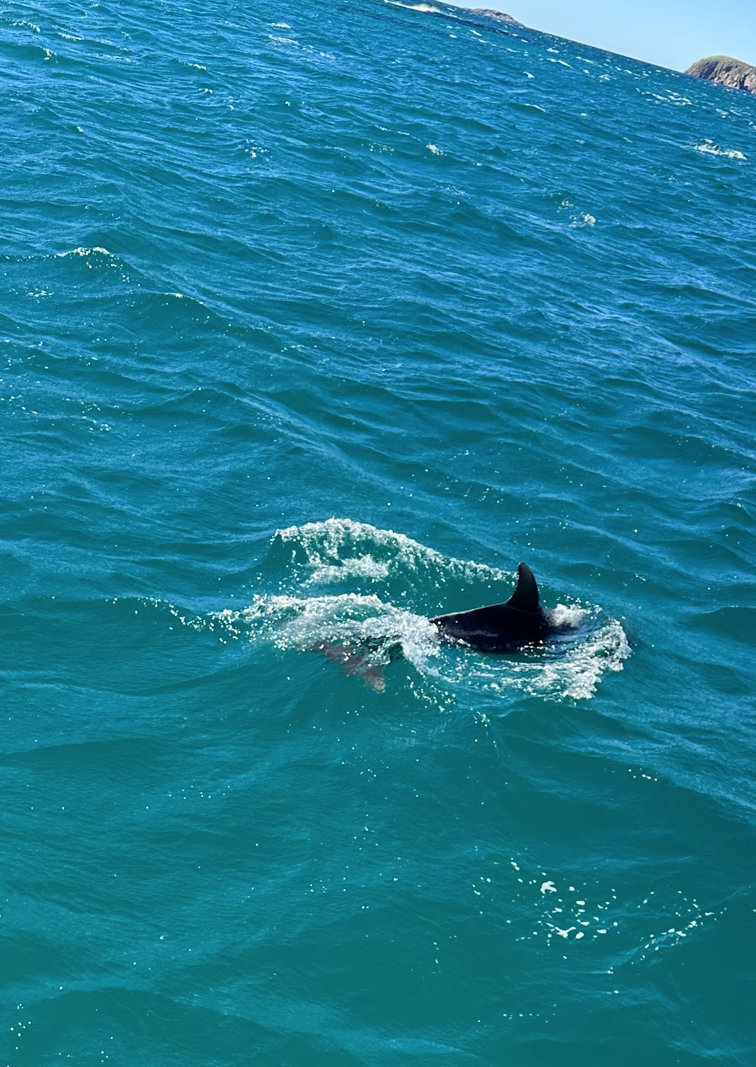 스크린샷 2023-07-15 오전 11.57.04.png