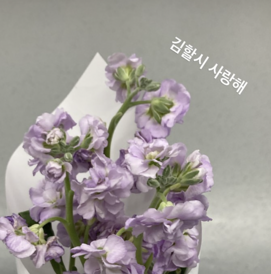 스크린샷 2023-07-20 오후 11.17.08.png