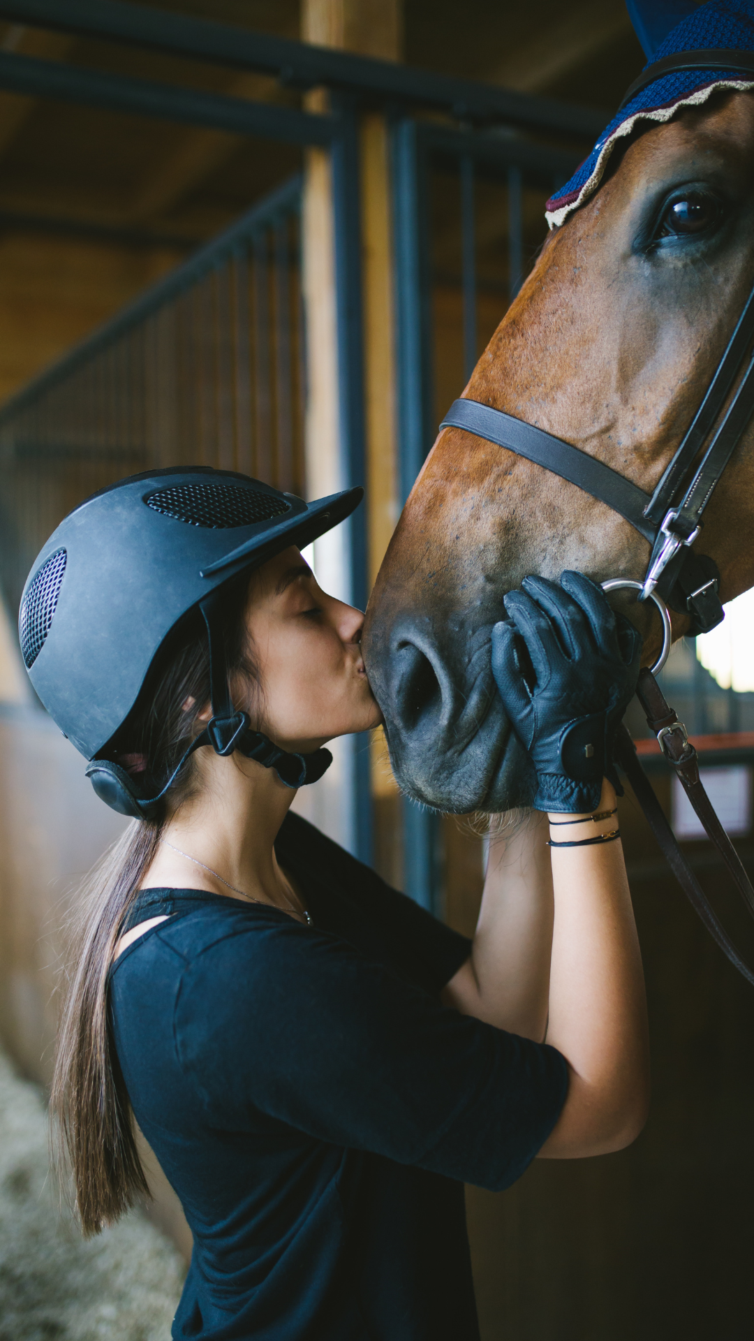 Denim Brown Horse Riding Training Classes Animated Story.png