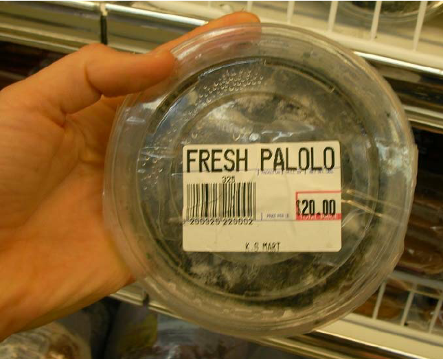 Traditionally-not-sold-for-profit-palolo-is-now-an-expensive-local-commercial-delicacy.png