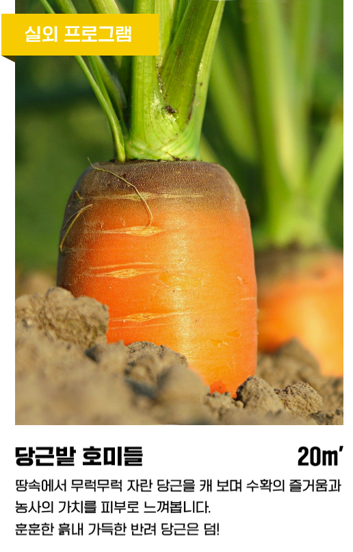 스크린샷 2022-11-10 오전 9.15.49.png