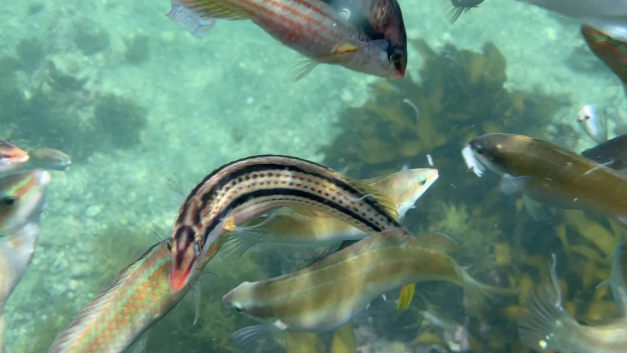 스크린샷 2022-09-23 오후 9.06.26.png