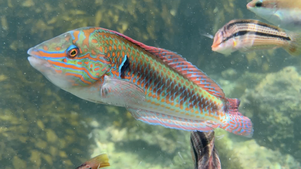 스크린샷 2022-09-23 오후 9.05.39.png