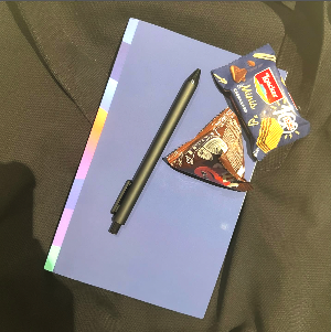 Screenshot 2025-06-06 at 8.47.18 AM.png