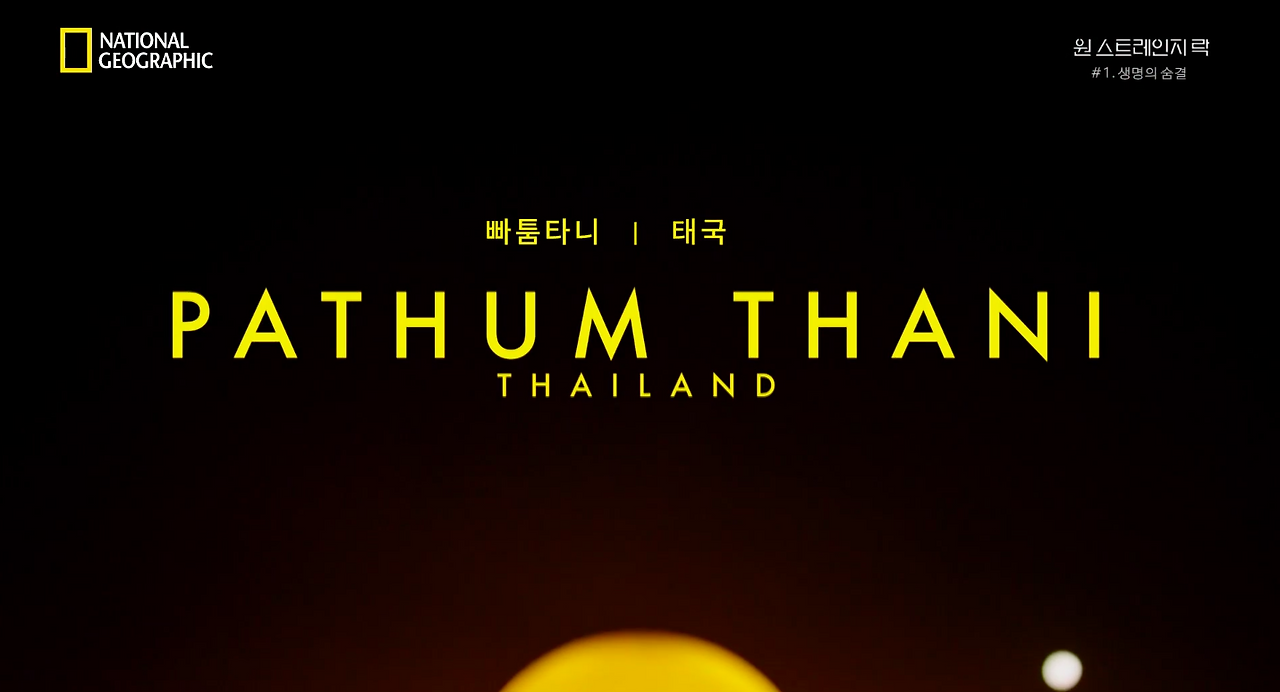 스크린샷 2018-06-11 오후 9.34.02.png