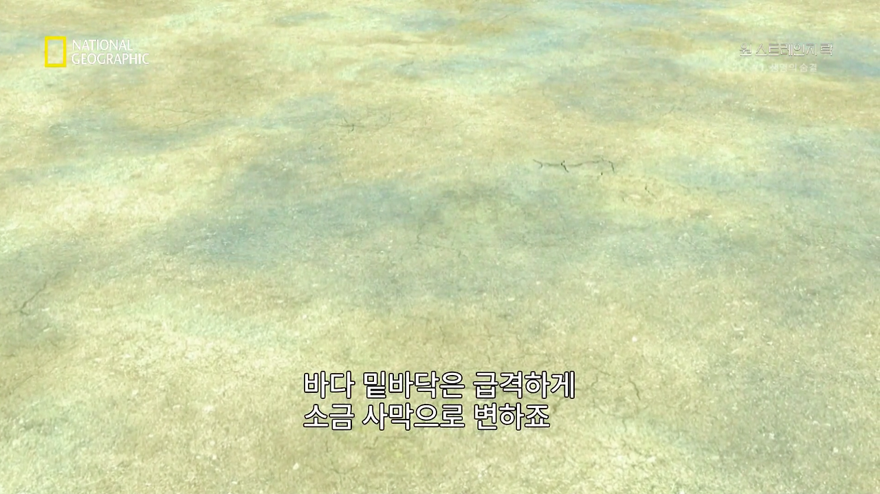 스크린샷 2018-06-11 오후 9.10.25.png