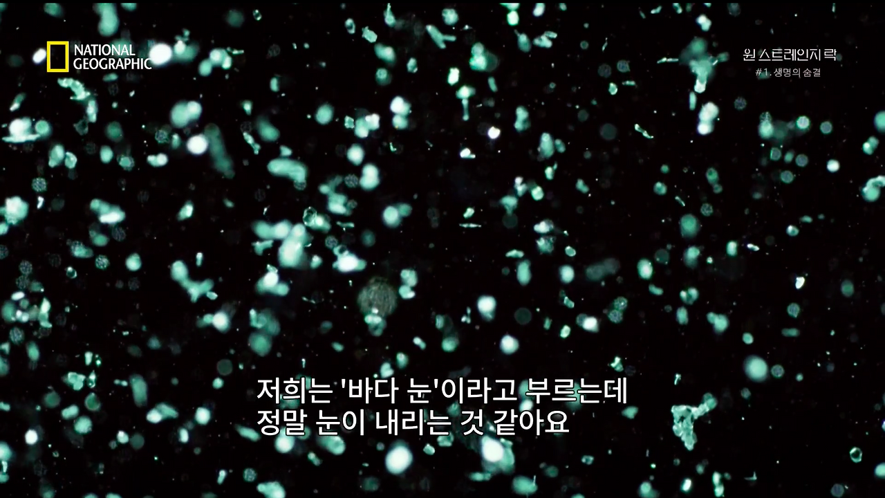 스크린샷 2018-06-11 오후 9.09.44.png