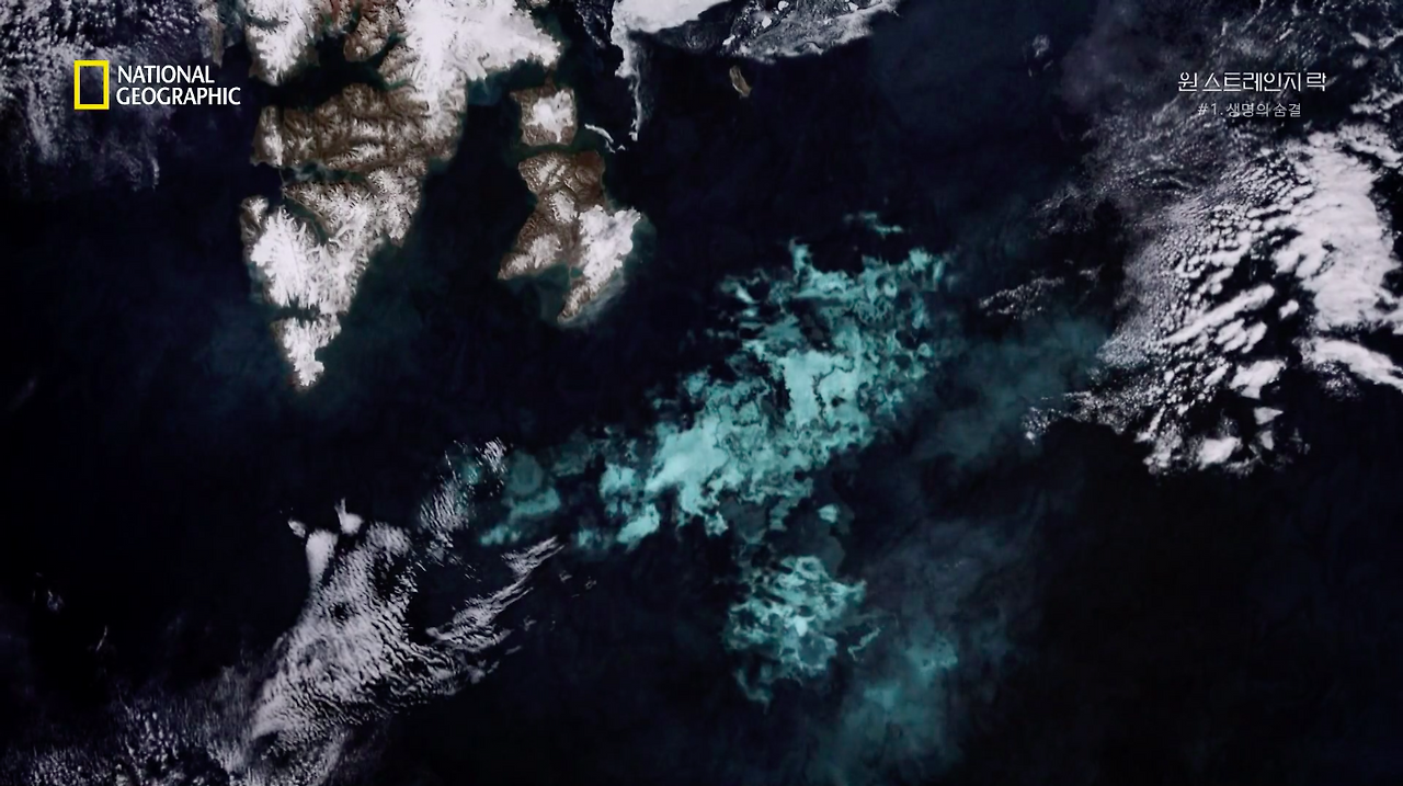 스크린샷 2018-06-11 오후 8.52.03.png