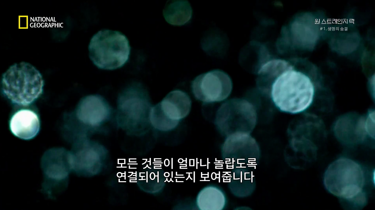 스크린샷 2018-06-11 오후 9.11.10.png