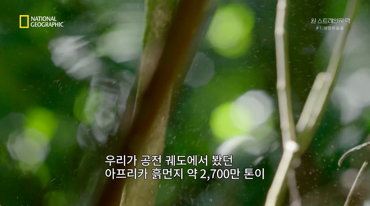 스크린샷 2018-06-11 오후 8.46.53.png