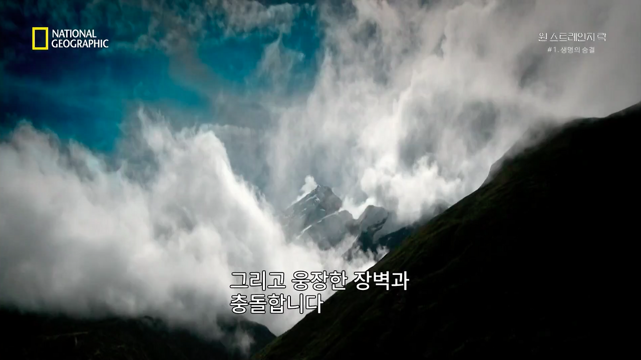 스크린샷 2018-06-11 오후 8.50.32.png