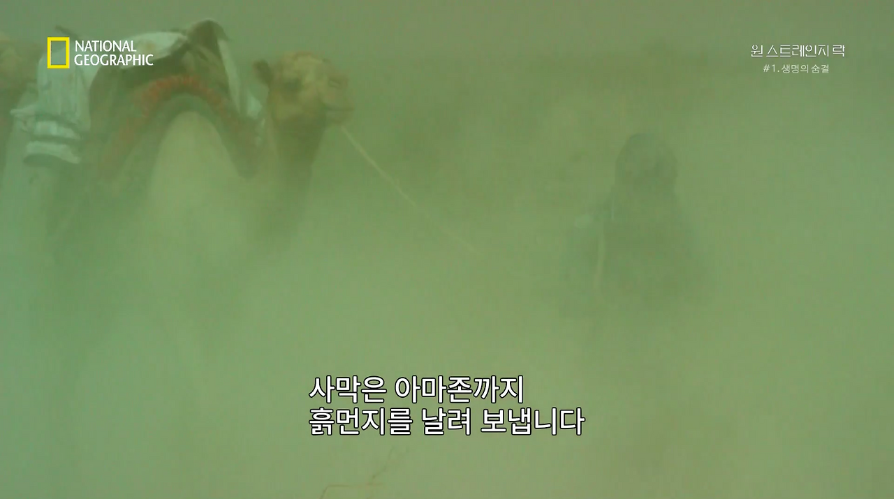 스크린샷 2018-06-11 오후 9.10.43.png