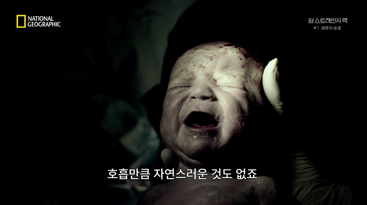 스크린샷 2018-06-11 오후 9.05.12.png