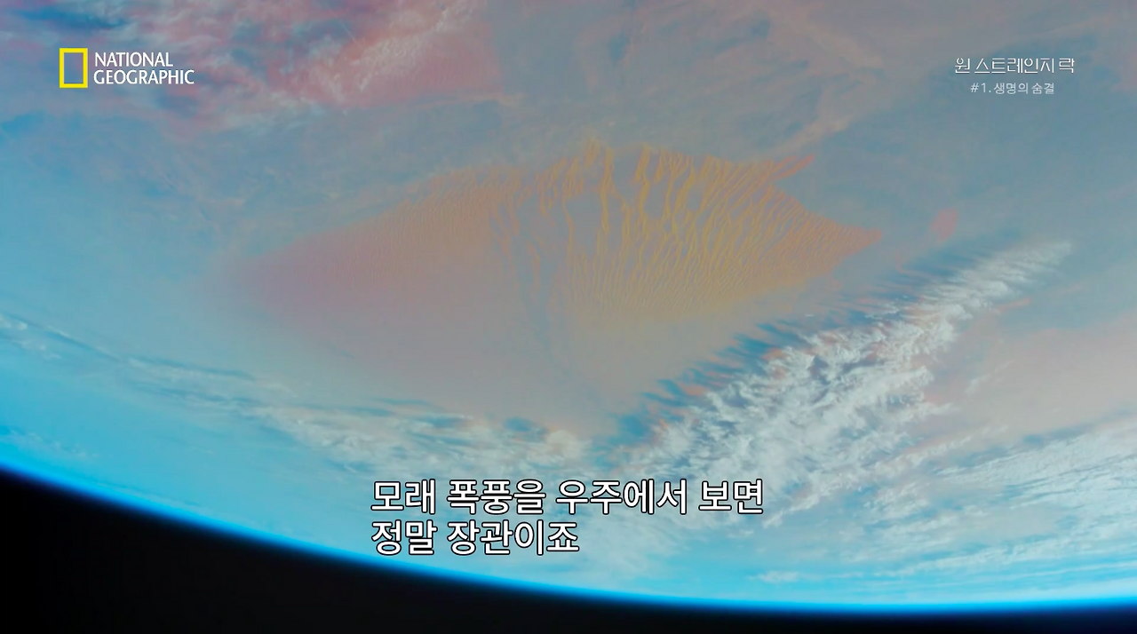 스크린샷 2018-06-11 오후 8.45.02.png