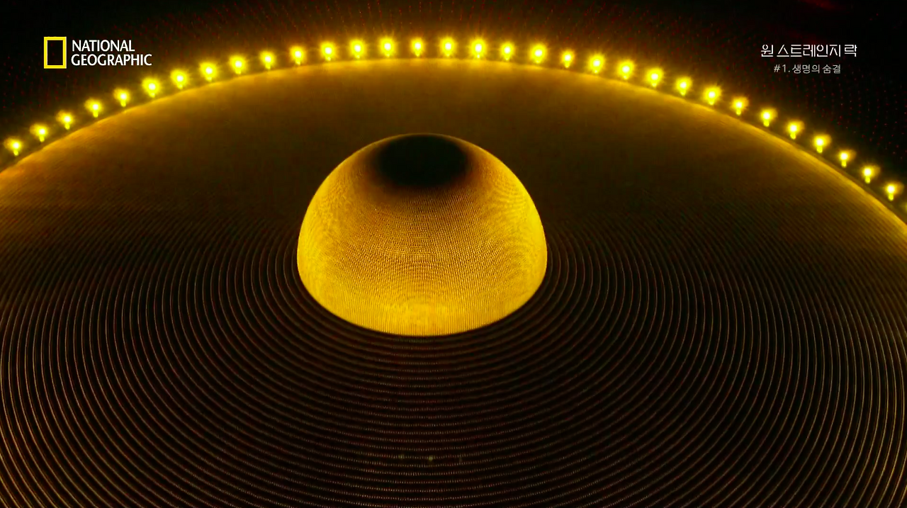 스크린샷 2018-06-11 오후 8.55.27.png