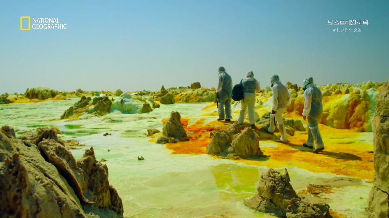 스크린샷 2018-06-11 오후 8.57.19.png