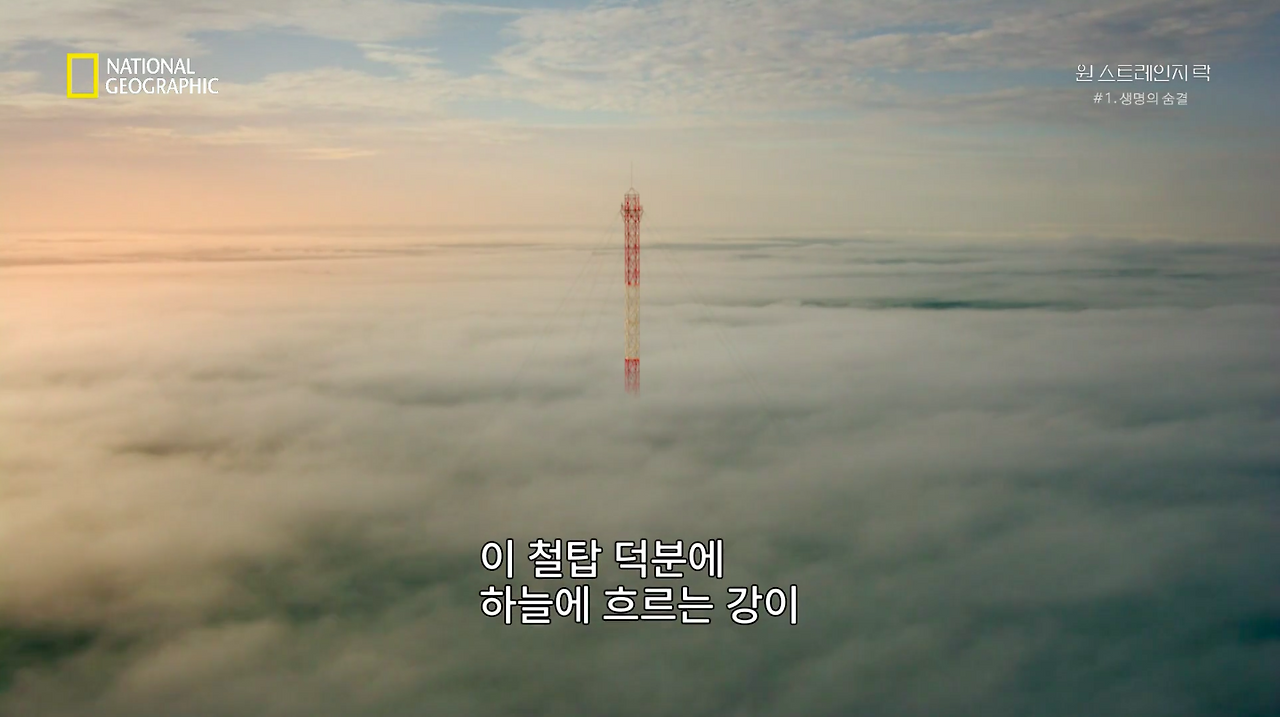 스크린샷 2018-06-11 오후 8.49.24.png