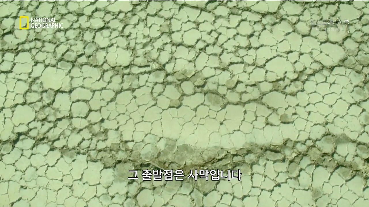 스크린샷 2018-06-11 오후 8.44.28.png