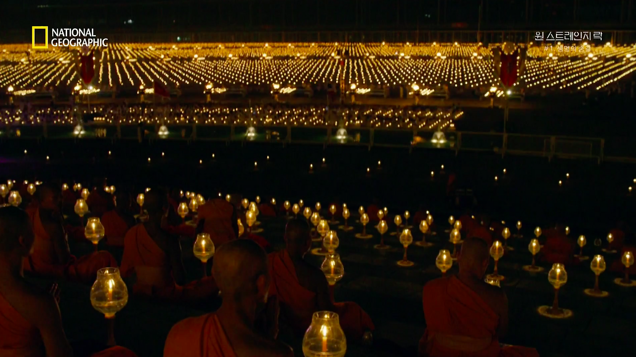 스크린샷 2018-06-11 오후 8.55.45.png