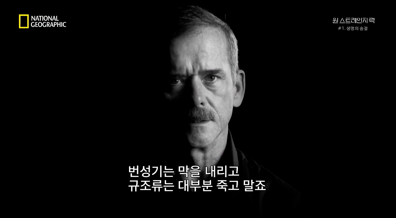 스크린샷 2018-06-11 오후 8.52.56.png