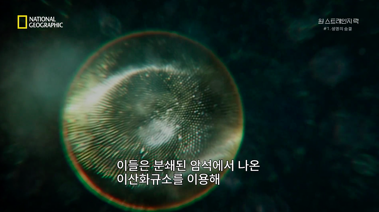 스크린샷 2018-06-11 오후 8.51.23.png