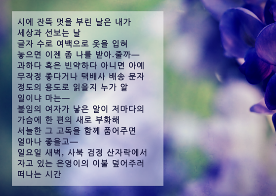 appy Anniversary!.png